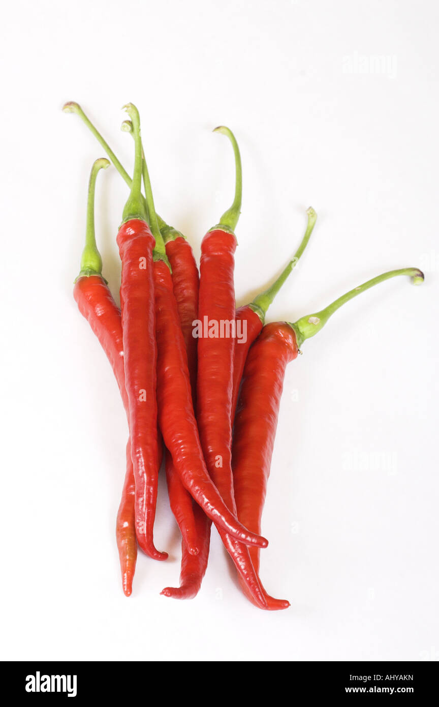 frische rote Chilischoten auf weißem Hintergrund Stockfoto
