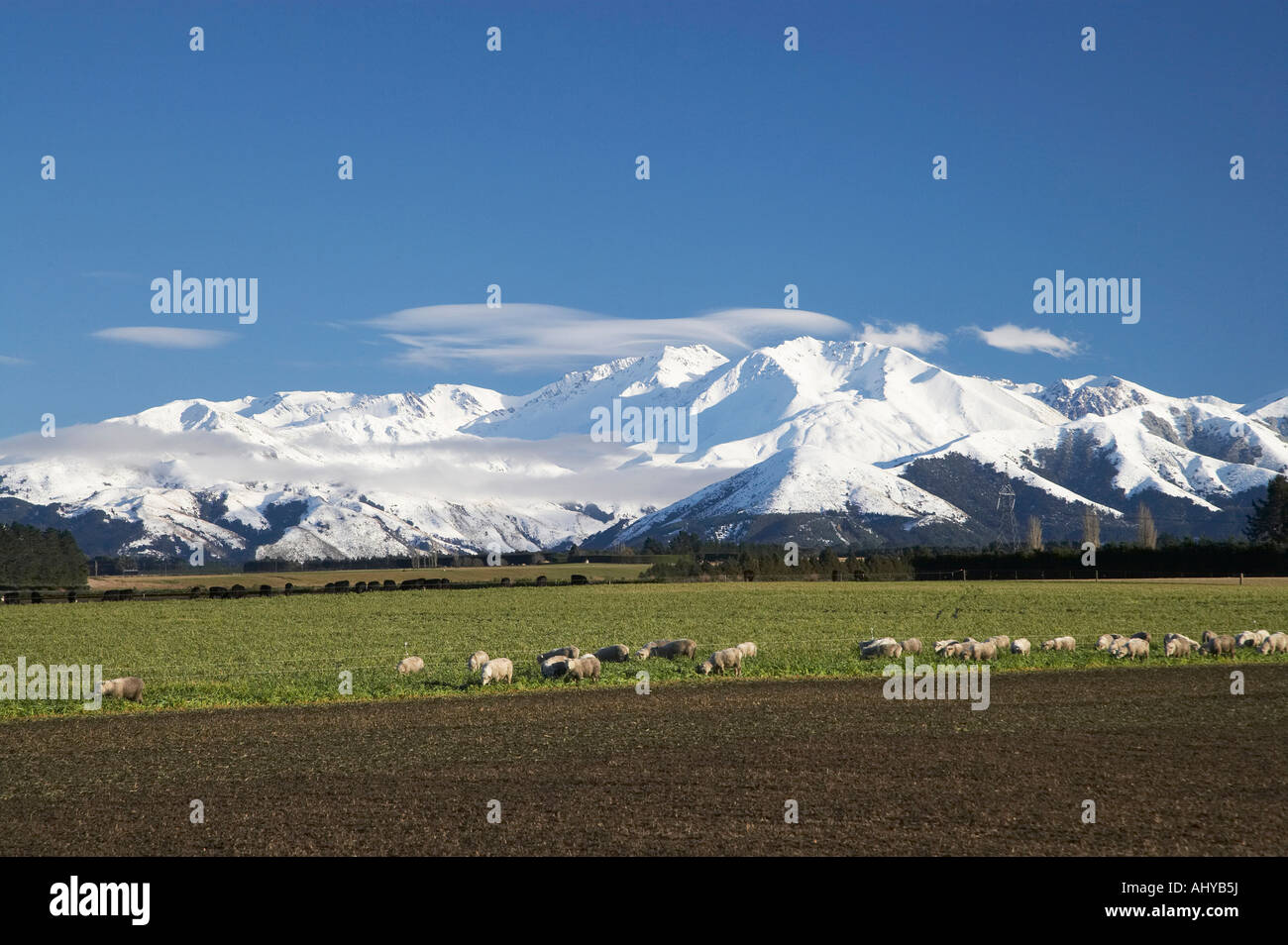 Ackerland in der Nähe von Methven und Winterslow Range Mid Canterbury Neuseeland Südinsel Stockfoto