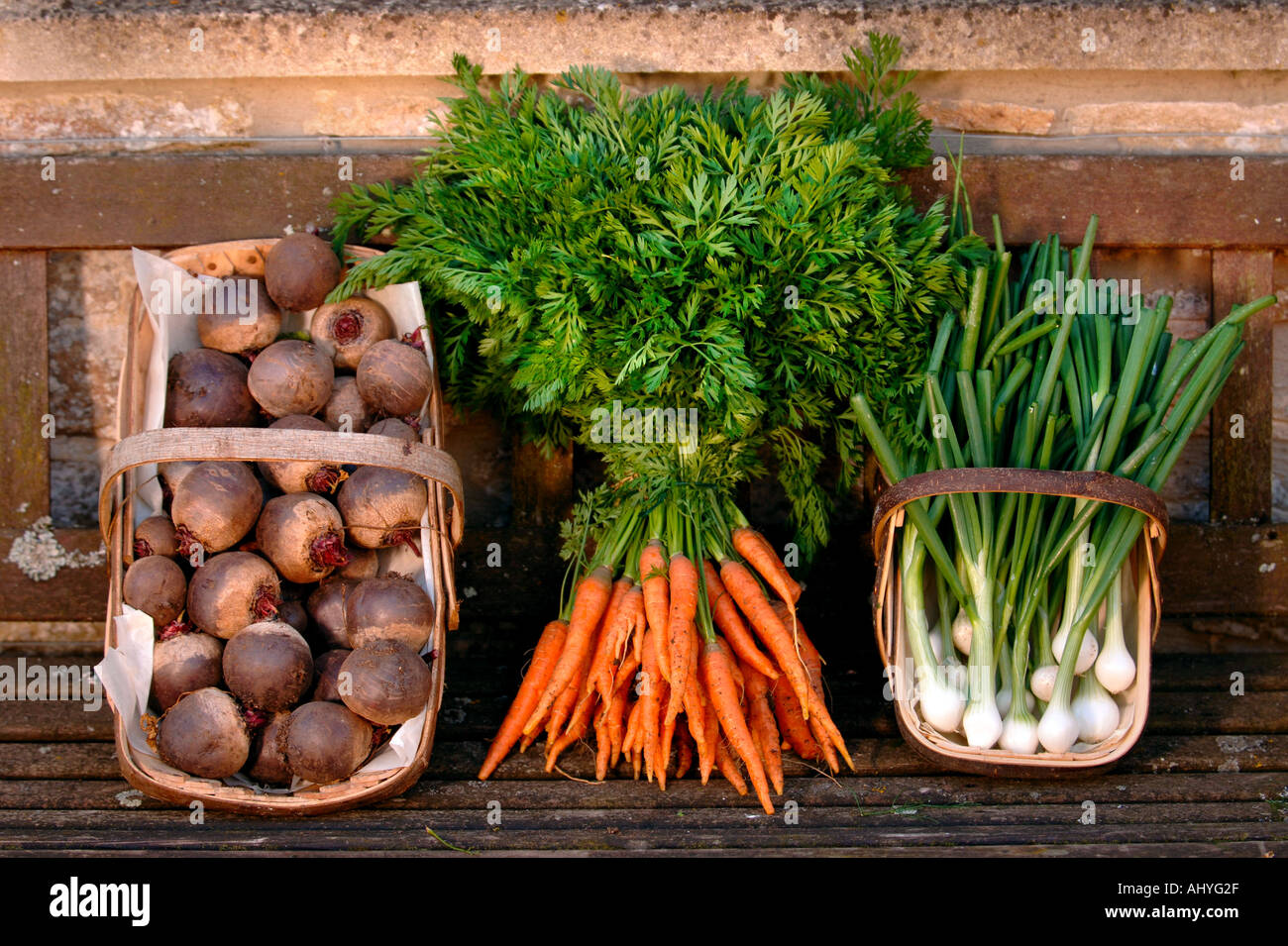 EINE AUSWAHL AN FRISCHEM GEMÜSE AN OZLEWORTH PARK SOUTH GLOUCESTERSHIRE UK Stockfoto