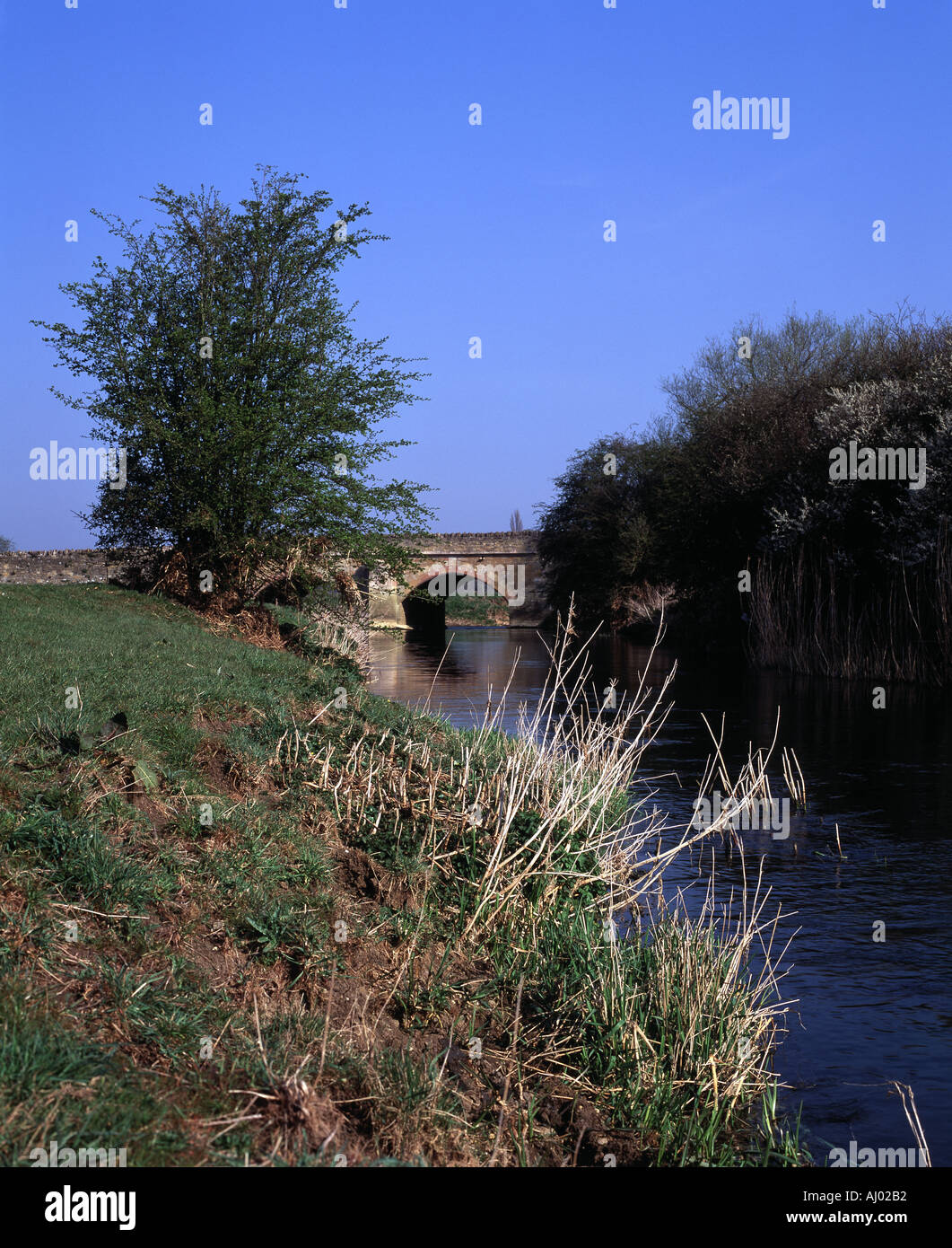Fluss Great Ouse und die Brücke am Turvey Bedfordshire Stockfoto
