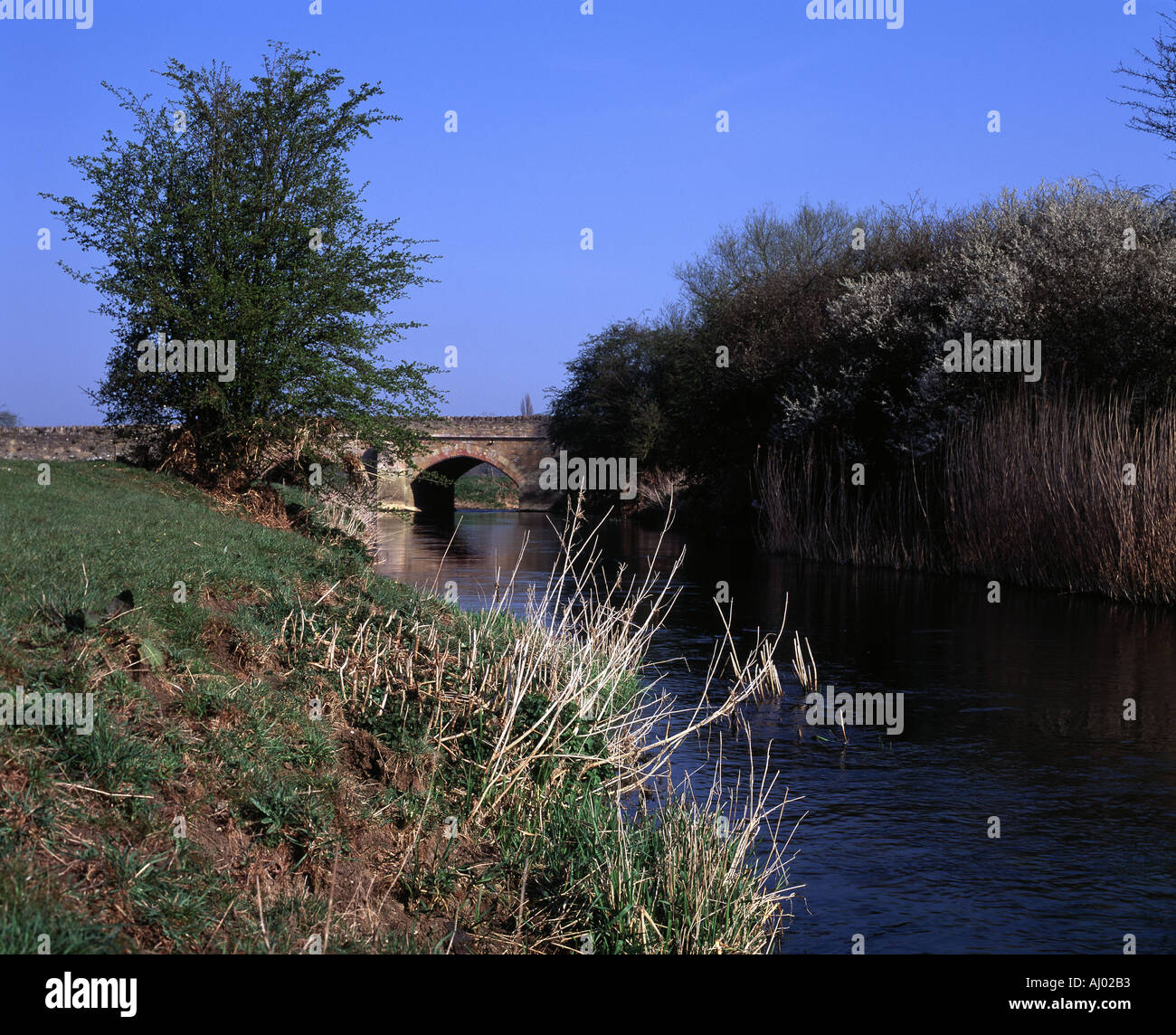 Fluss Great Ouse und die Brücke am Turvey Bedfordshire Stockfoto