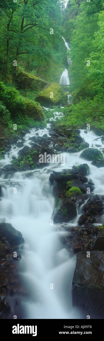 Nördlichen fällt an Silver Falls State Park Salem Oregon Stockfoto