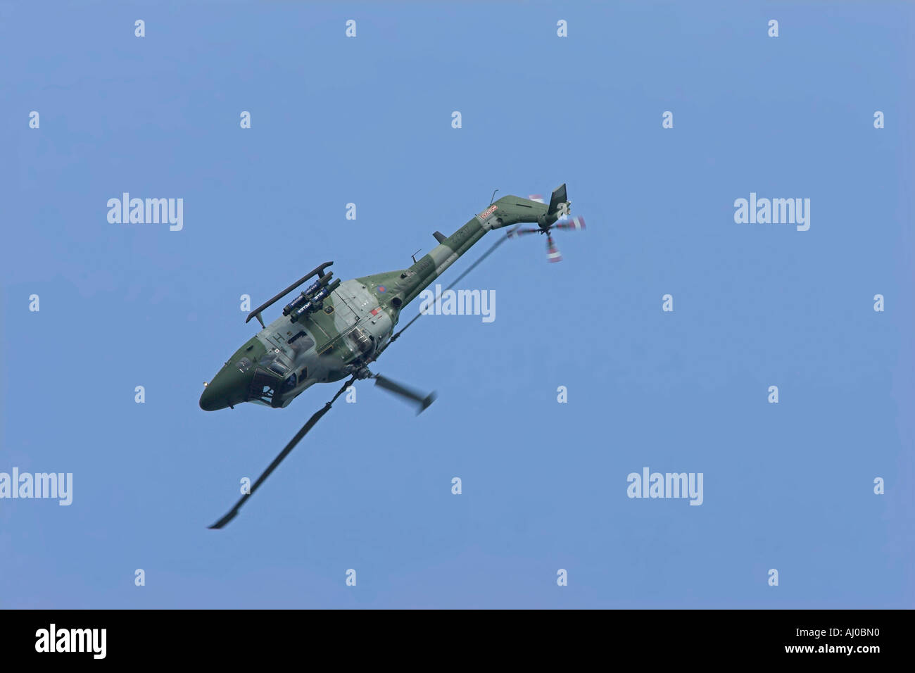 Armee-Luchs-Schleife Stockfoto