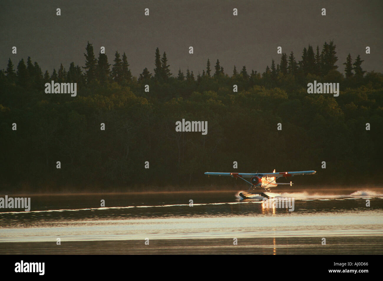 Sternmotor Wasserflugzeug landen auf Naknek Lake Katmai Nationalpark, Alaska Stockfoto