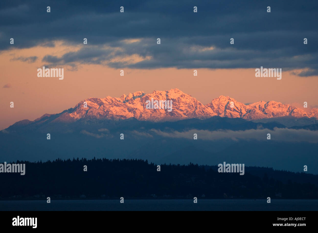 Winter Sunrise, Mount Konstanz 7743 Fuß hoch, Olympic Nationalpark, Washington Puget Sound im Vordergrund, Anzeigen von Seattle Stockfoto