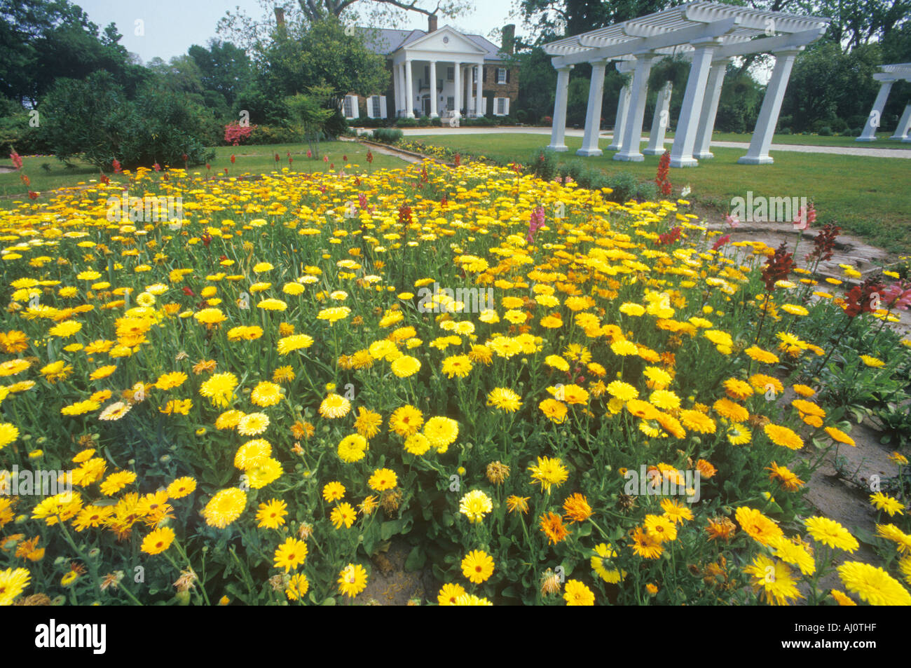 Haus und Garten von Boone Hall Plantation Charleston SC Stockfoto