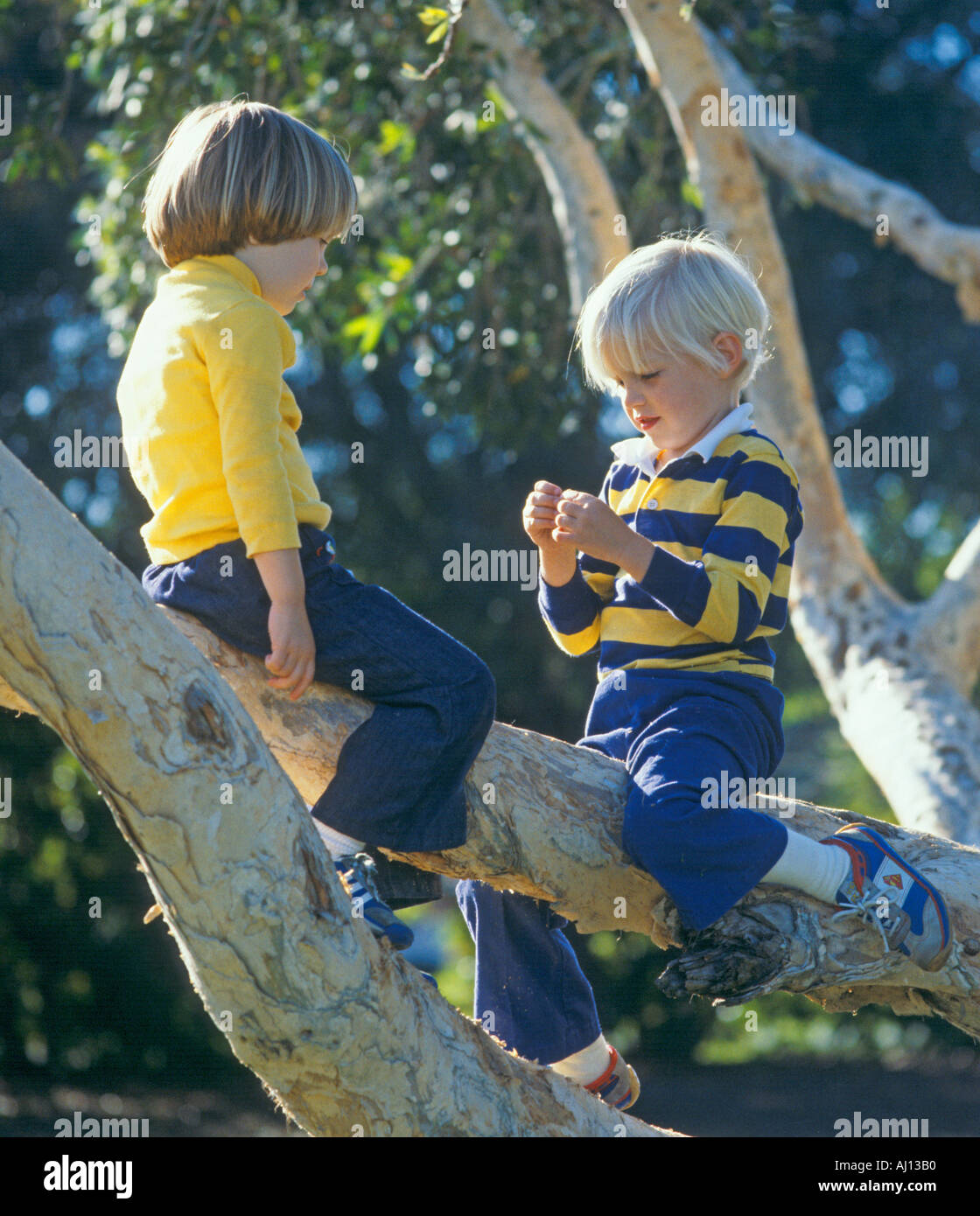 kleine Jungen und Mädchen Kletterbaum Stockfoto