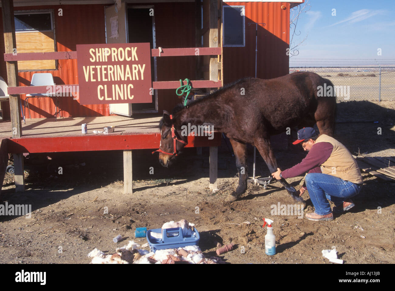 Große Tier Tierarzt tendenziell einem verletzten Pferd Shiprock NM Stockfoto