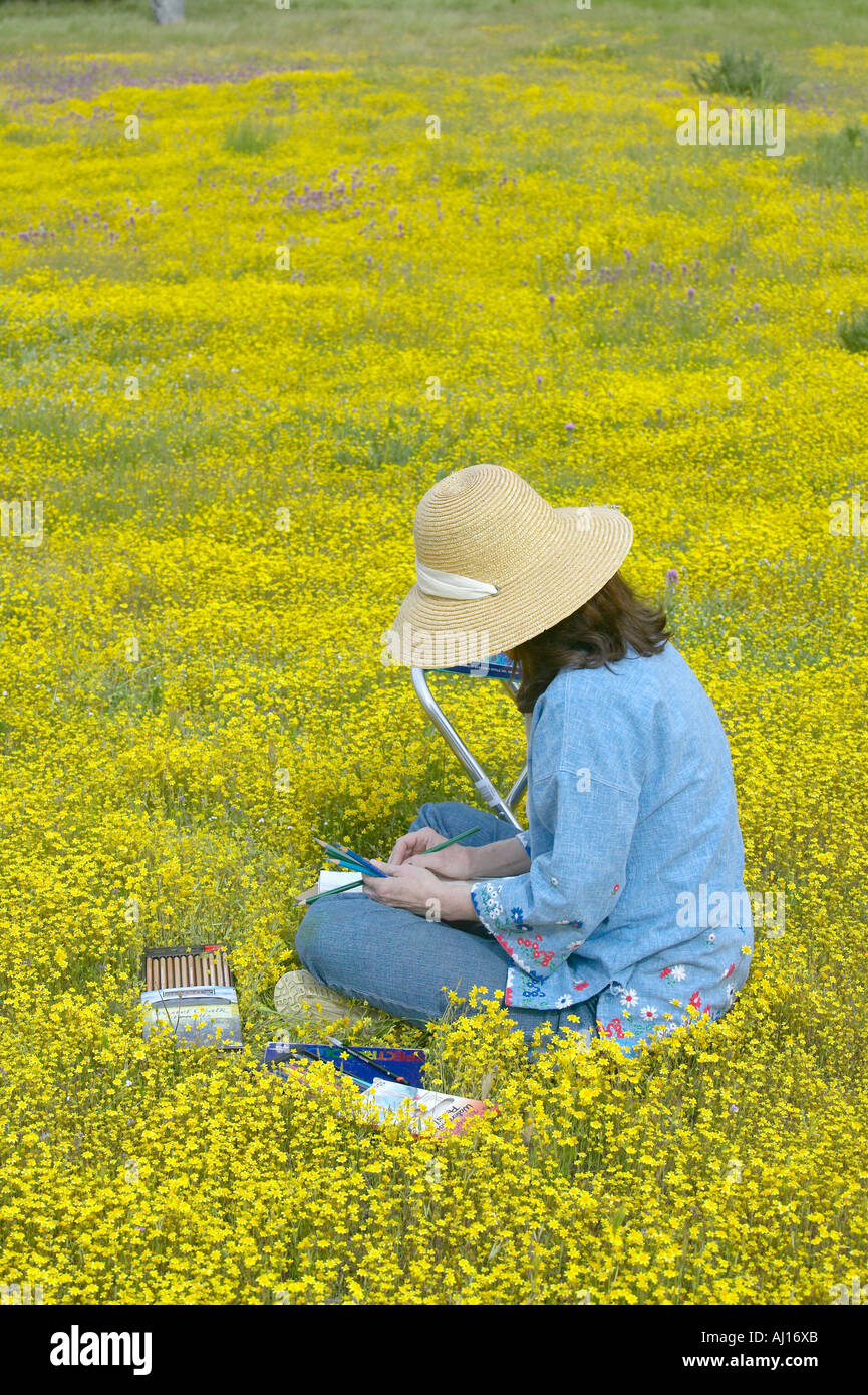 Ein Künstler mit ihren Farbstiften um zu skizzieren Sie die bunten Frühling Blumenfelder off Highway 58 zentrale CA Stockfoto