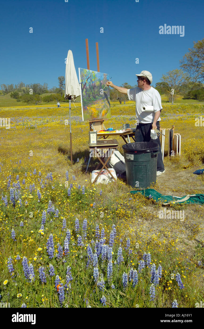 Maler malen einer Landschaft auf Leinwand im Bereich der Multi farbige Blumen auf Shell Creek Road Highway 58 CA Stockfoto