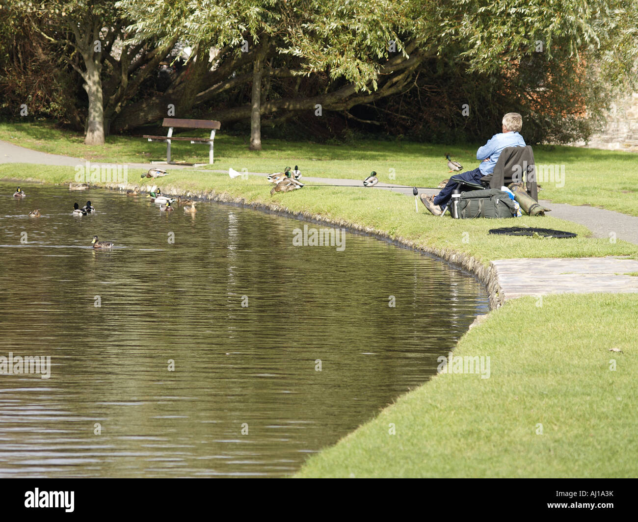 Grauen Haaren Fischer sitzt am Ufer eines Kanals Enten beobachten Stockfoto