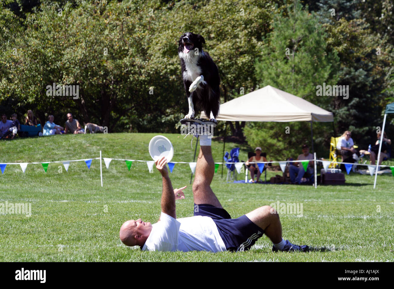 Hund ist Triks durchführen, während der Fang von Fresbee in der Luft, mit dem Trainer. Stockfoto