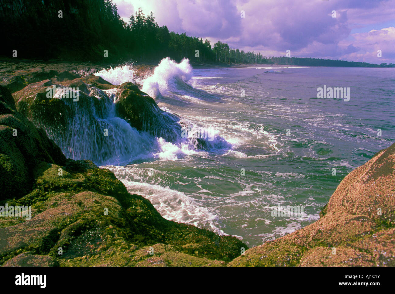 Haida Gwaii (Queen Charlotte Islands) BC, Britisch-Kolumbien, Kanada - Felsenküste am "North Beach" auf Graham Island Stockfoto