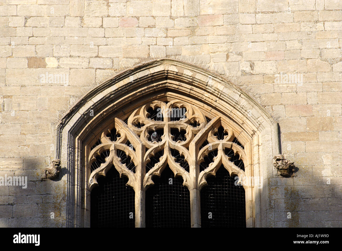 Detail der C15th gotischen Fenster in der Äbte Turm Bury St Edmunds Suffolk East Anglia UK Stockfoto