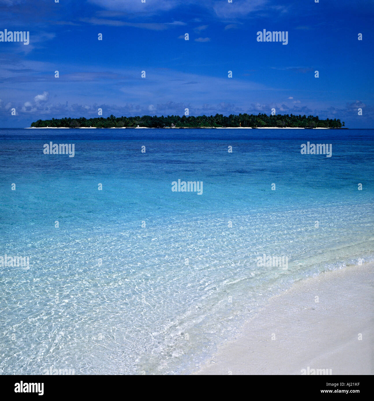 Klassische verträumte einsame Insel Szene weißen Sandstrand und kristallklarem opalisierend Flachwasser Bandos Island Malediven Stockfoto