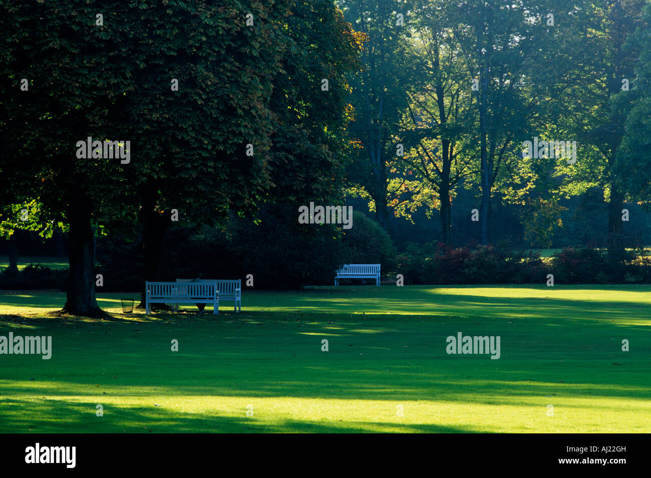 Liegewiese mit Bänken im Park der historischen Kurstadt Bad Driburg, Deutschland Stockfoto