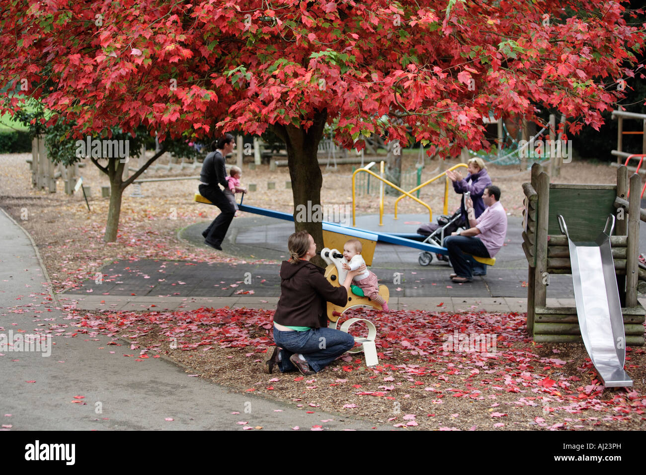 Eltern und Kinder spielen unter einem herbstlichen Baum auf einem Spielplatz in Birminghams botanischen Gärten, UK Stockfoto