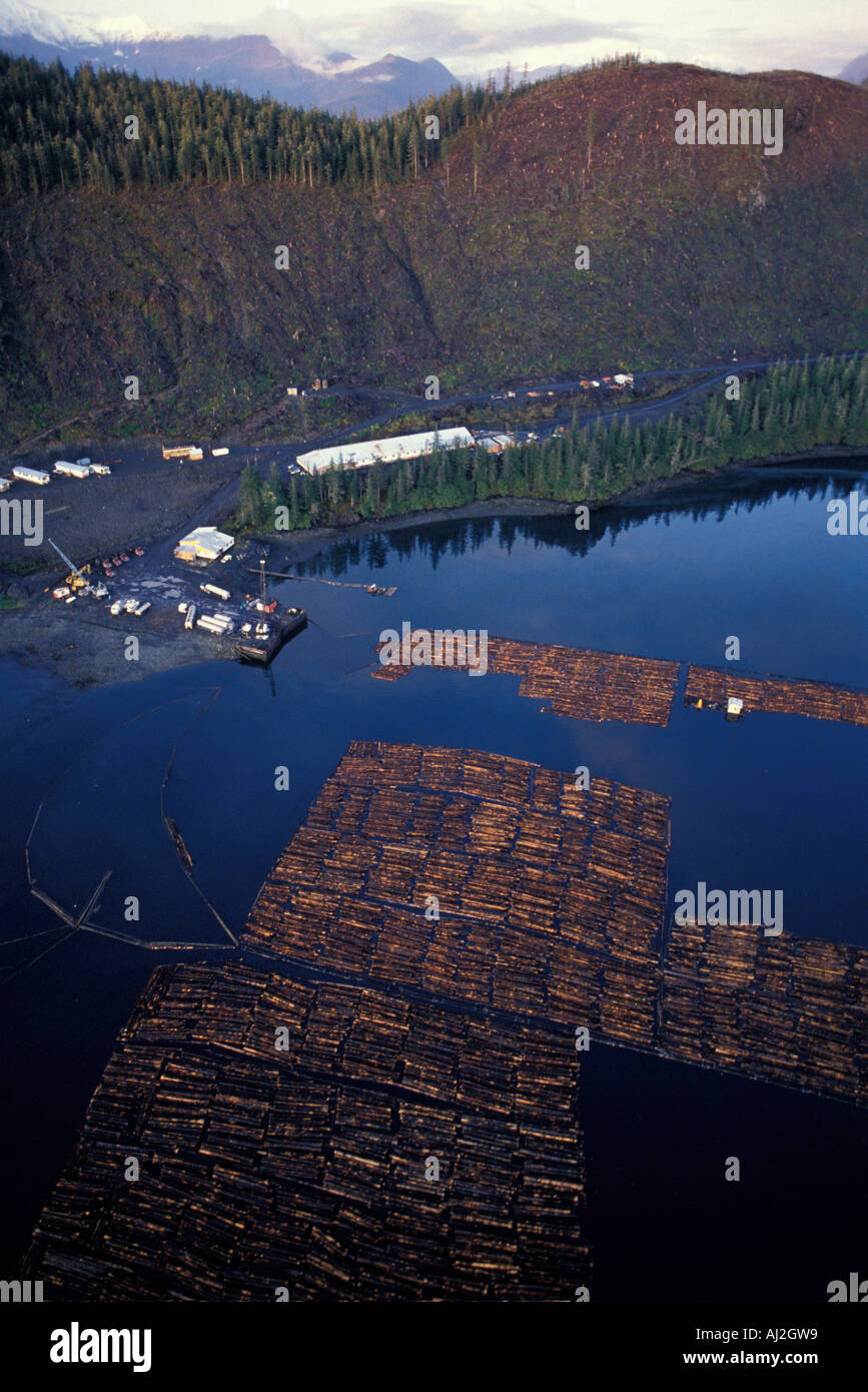 USA Alaska Log Ausleger Auftrieb im Prinz-William-Sund in der Nähe von aggressiven scharf geschnittenen Protokollierung in Half Moon Bay Stockfoto