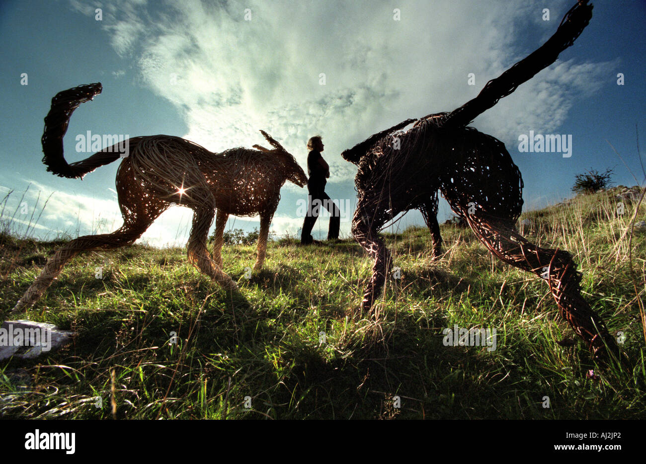 Frau-Künstler und Flechtwerk Hunde auf den Sussex Downs als Teil einer natürlichen Skulptur-installation Stockfoto