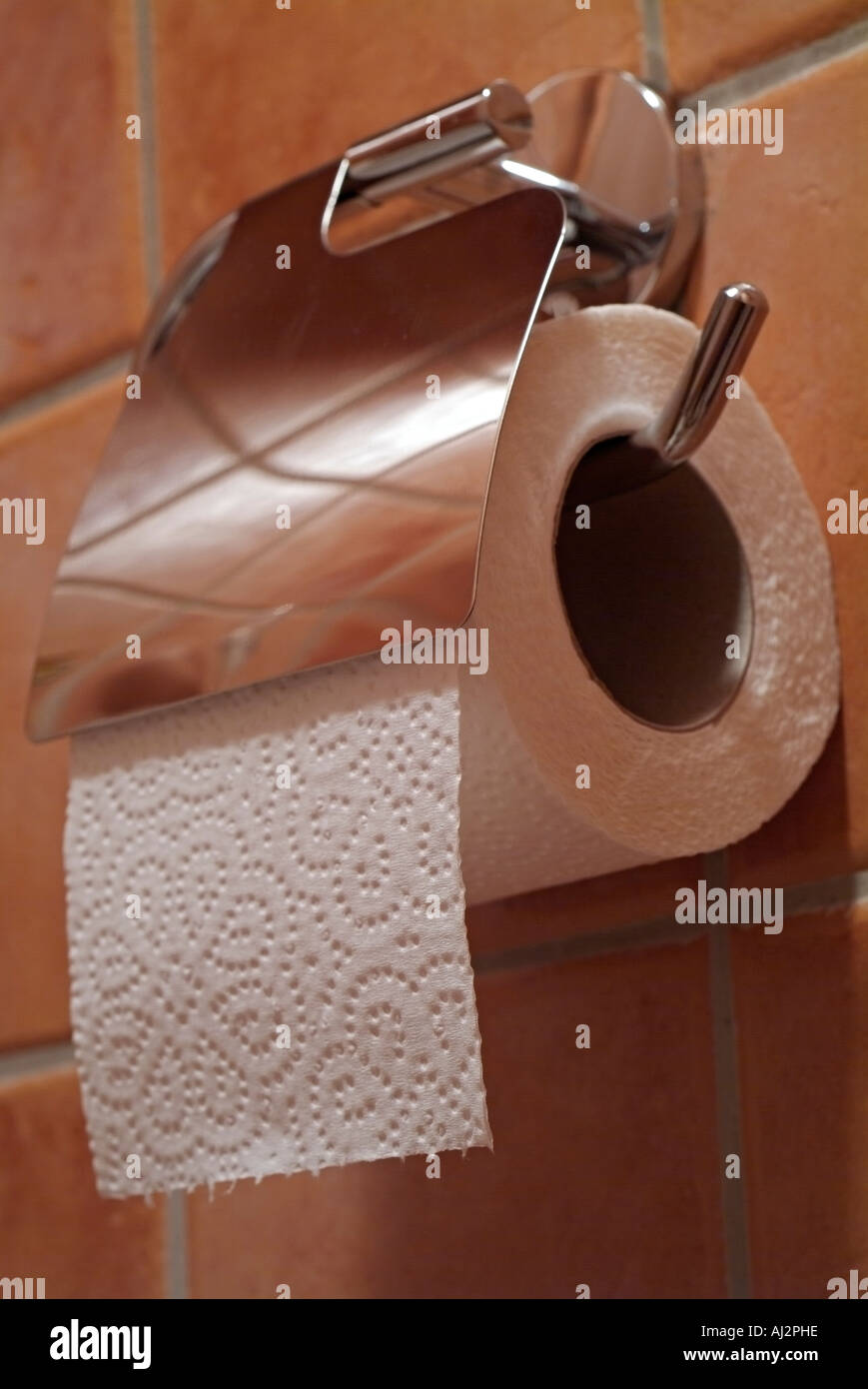 WC-Papierhalter und WC Papier Stockfoto
