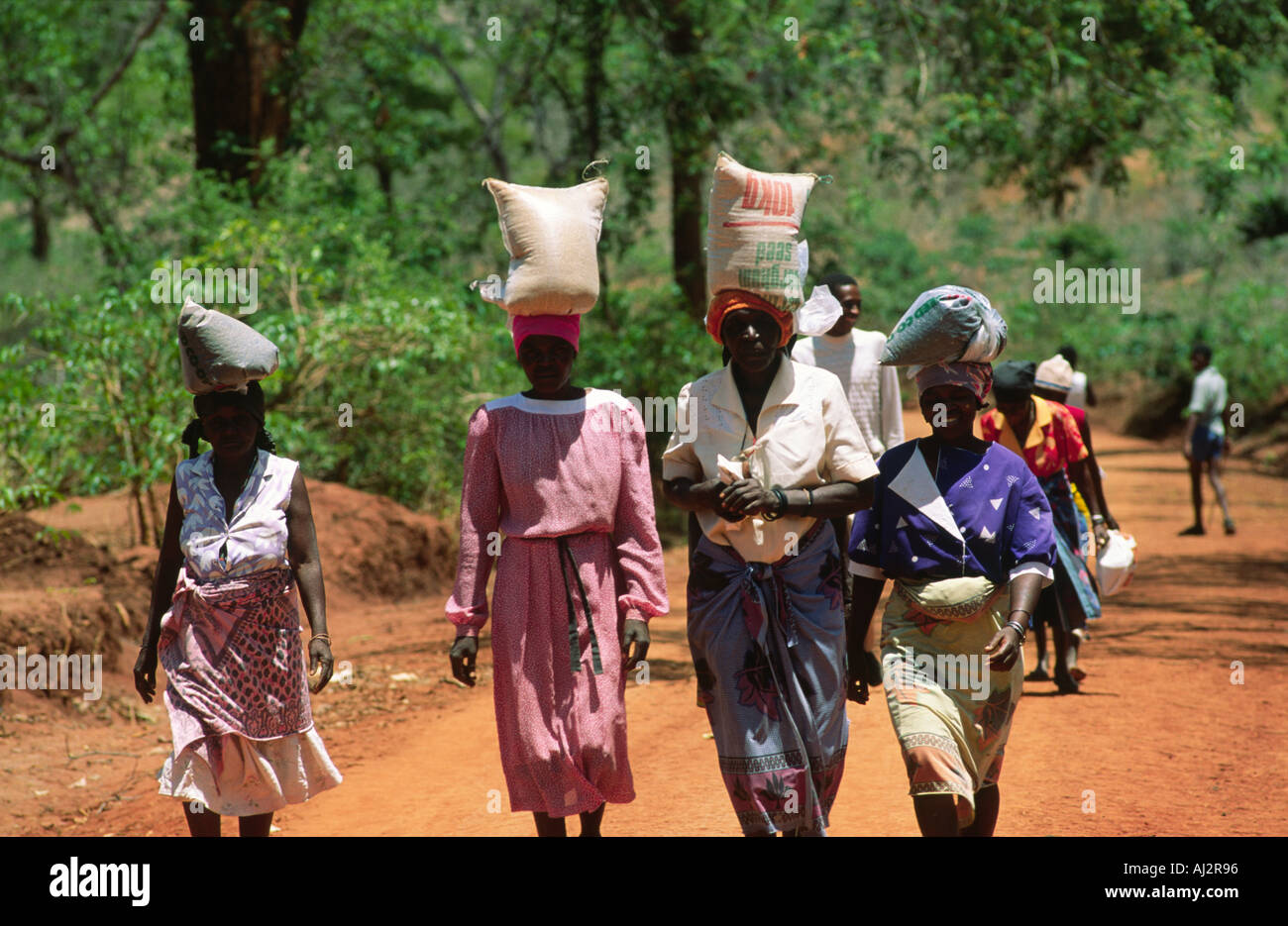 Frauen, die zu Hause Säcke von Nahrungsmittelhilfe in einer Zeit der Dürre und Missernten. Simbabwe Stockfoto