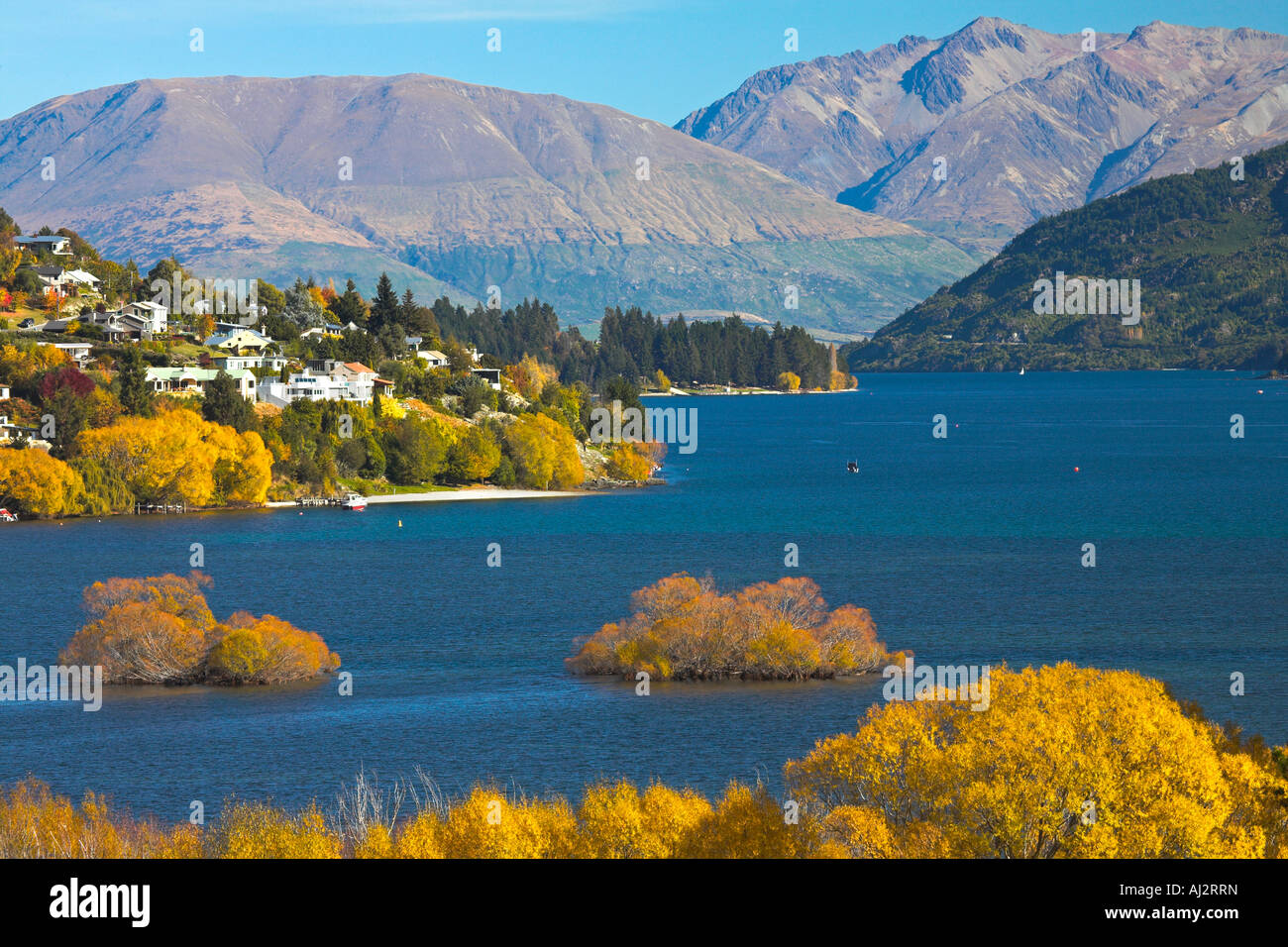 Herbstliche Pracht neben Lake Wakatipu, Queenstown, Neuseeland Stockfoto