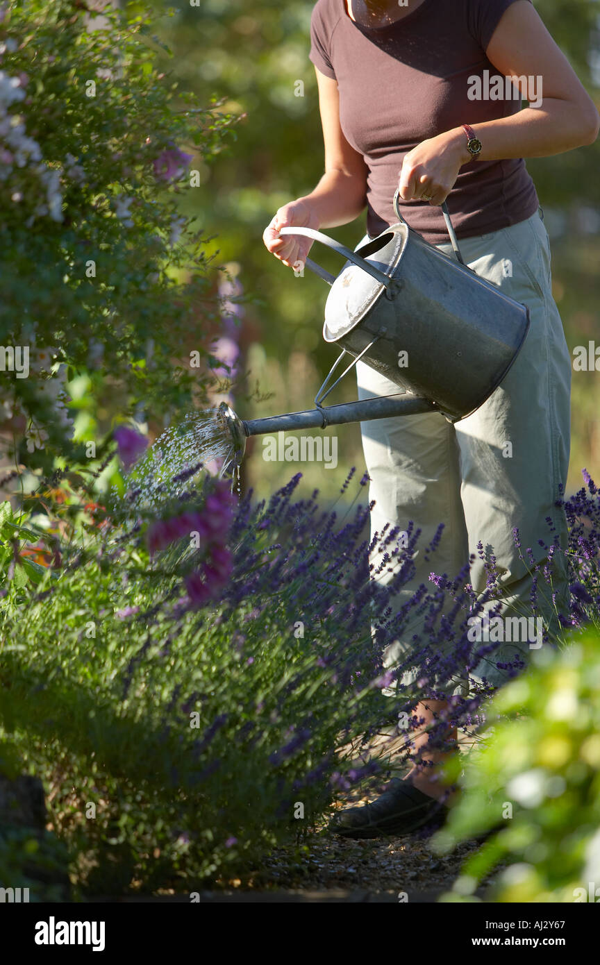 Woman Modell freigegeben Bewässerung ein Garten Dorset England UK Stockfoto