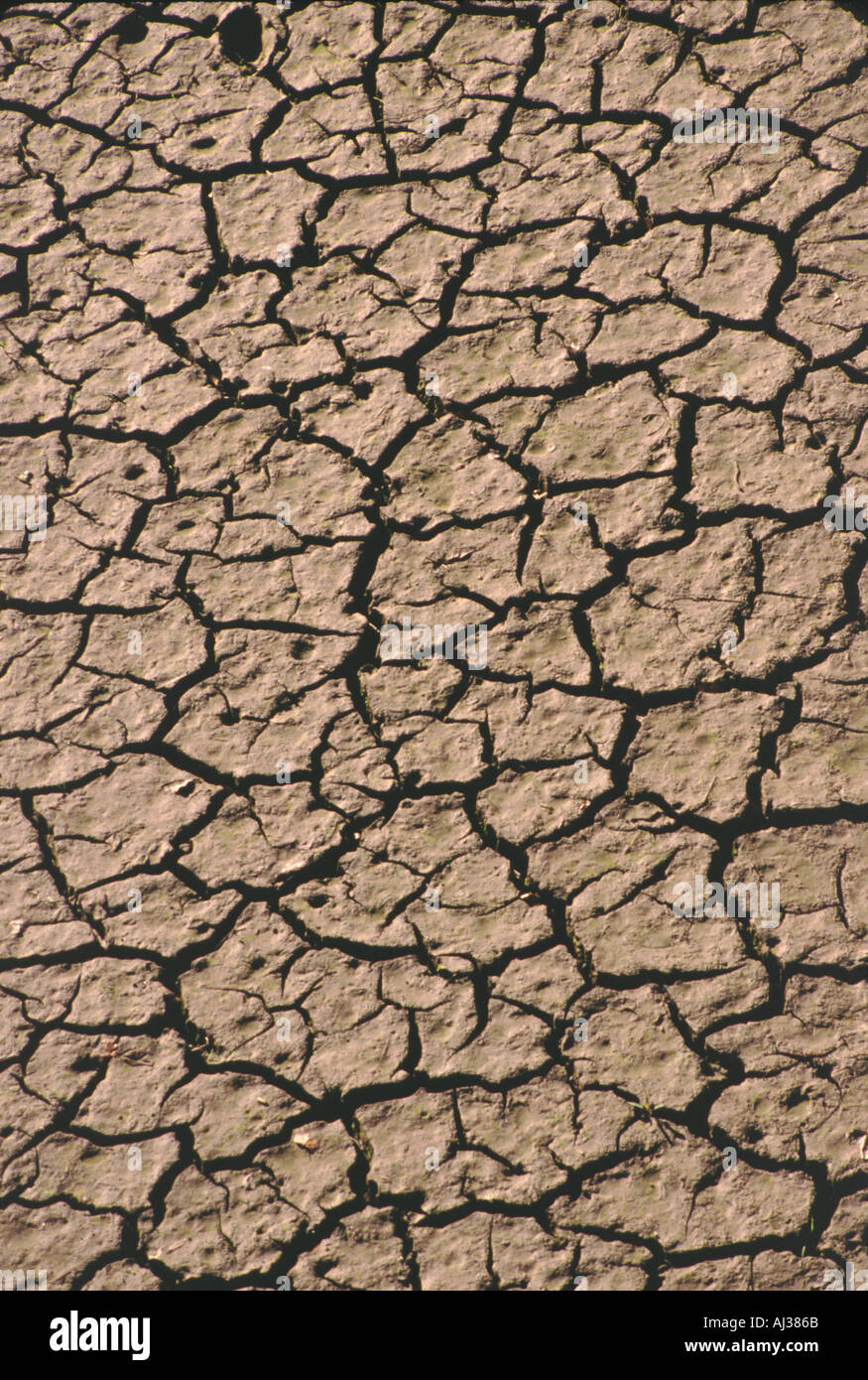 Dürre rissige Erde Muster Australien Stockfoto