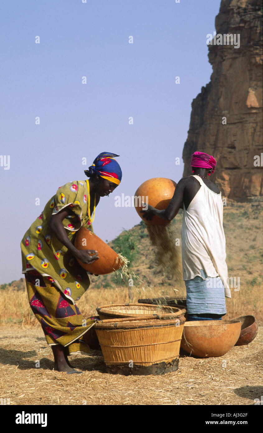Dogon Frauen worfeln Hirse in der traditionellen Weise vor dem Schleifen zu Mehl. Kani Kombole, Bandiagara Escarpment, Mali Stockfoto