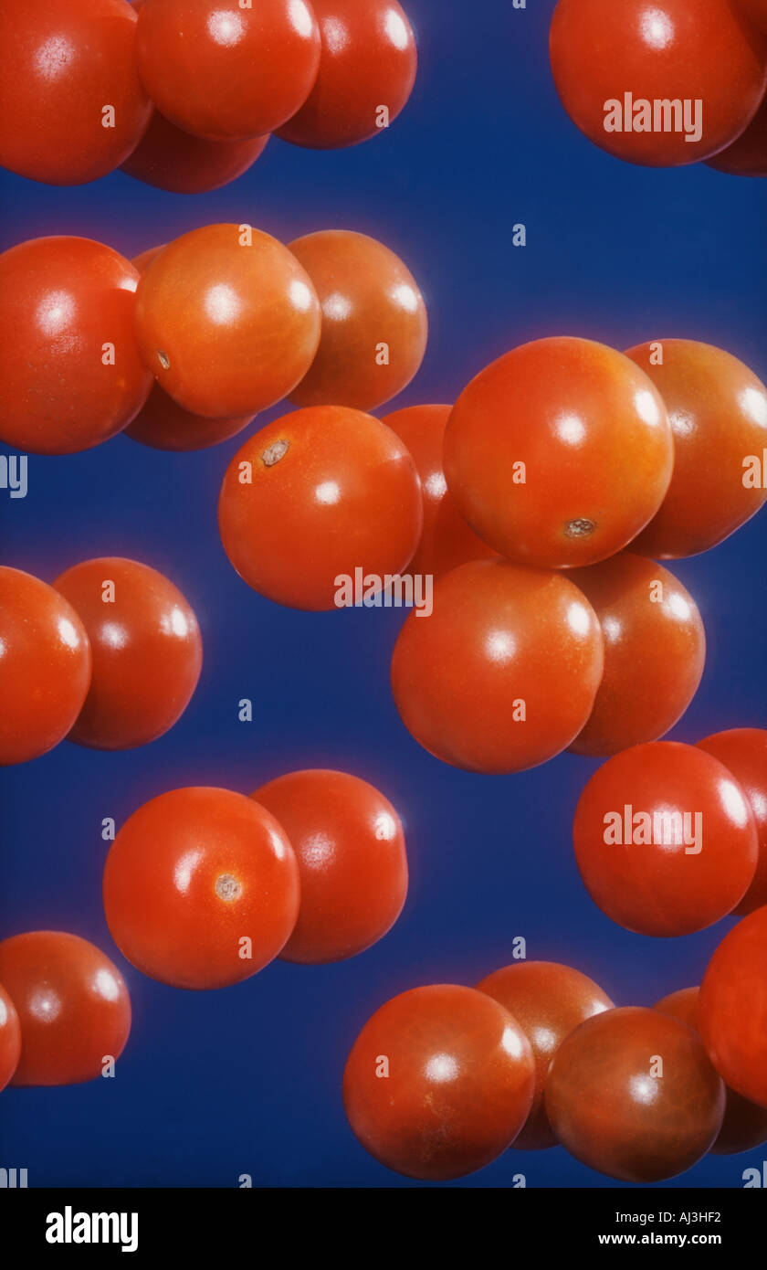 Doppelbild Tomaten gegen blauen Himmel Stockfoto