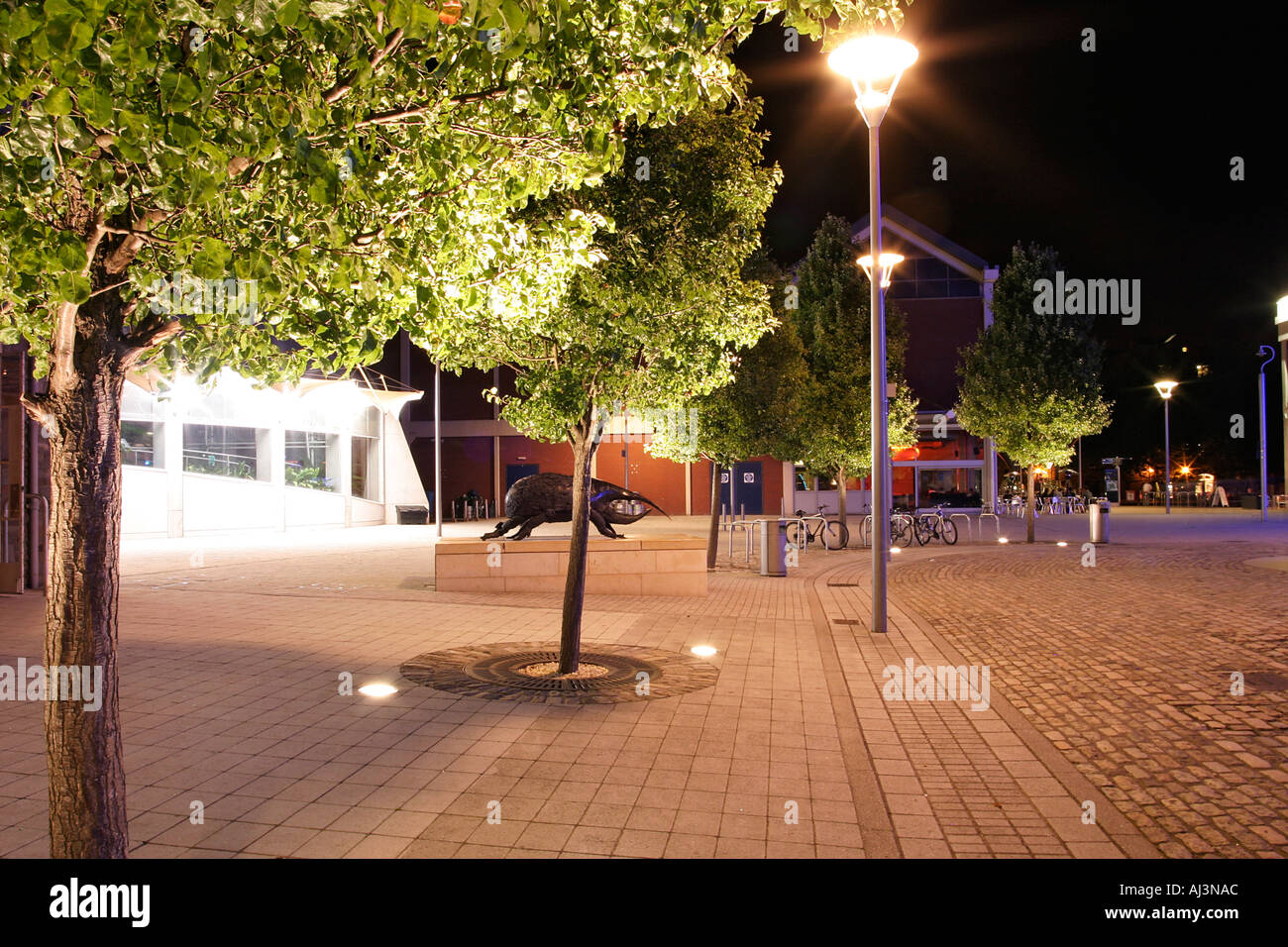 Millenium Square im Stadtzentrum von Bristol England UK in der Nacht Stockfoto