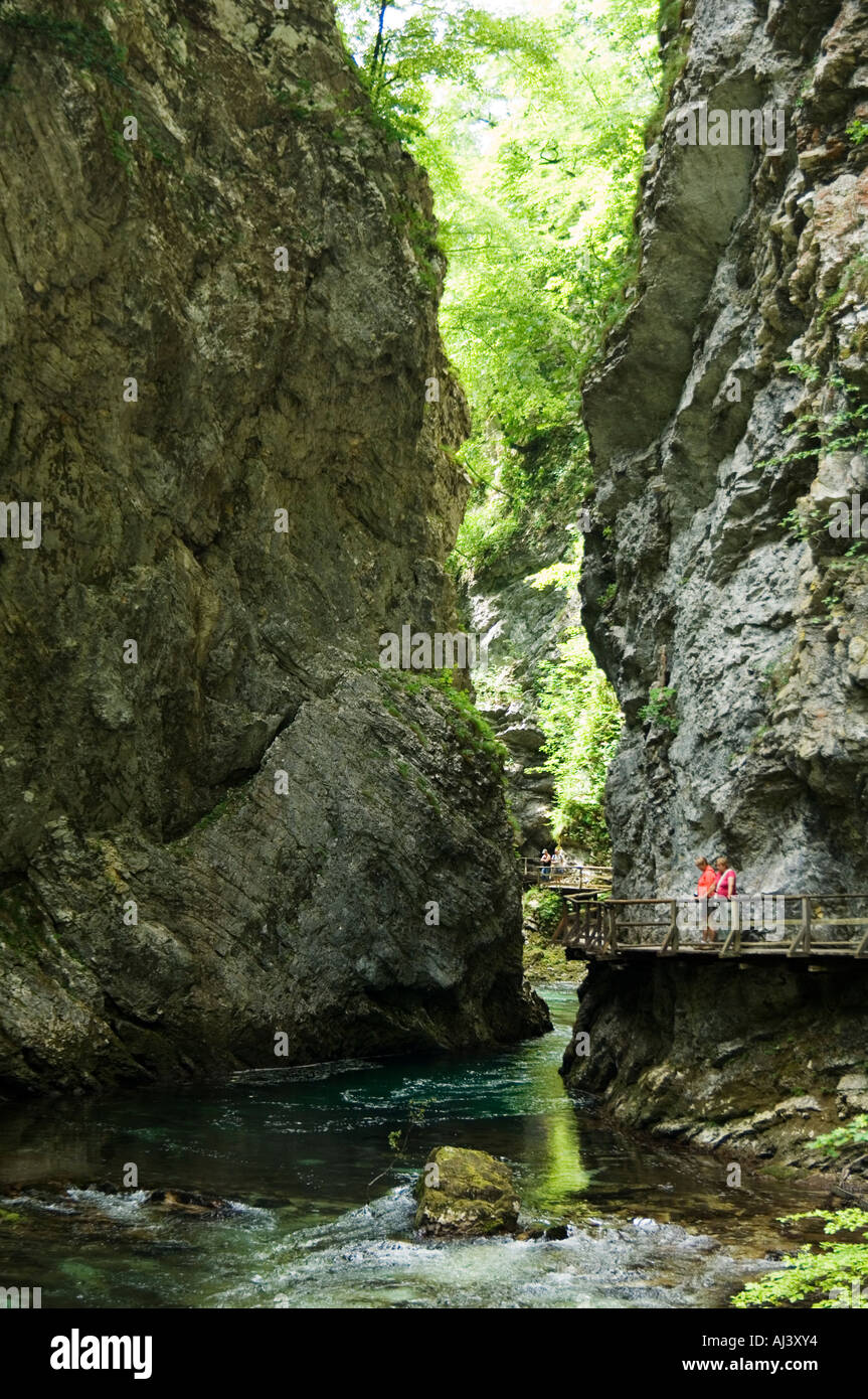 Eine beliebte natürliche Sehenswürdigkeit in der Nähe von Lake Bled, Slowenien ist die Vintgar-Schlucht eine beeindruckende Schlucht Fluss gemacht Stockfoto