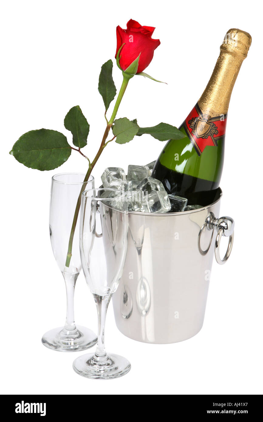 Champagner auf Eis und rote Rose Stockfoto