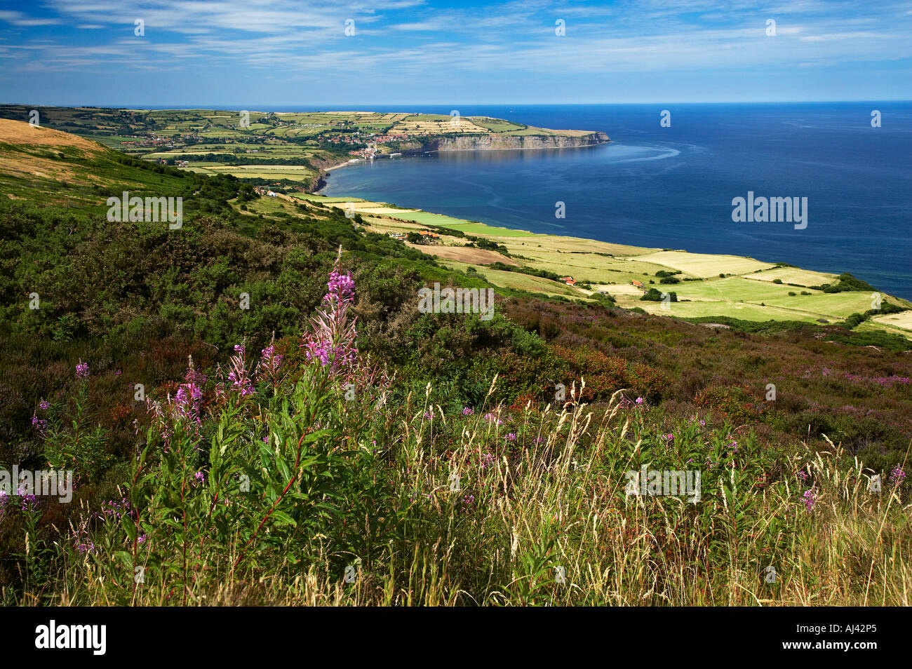 Robin Hoods Bay von Ravenscar North Yorkshire Coast Stockfoto