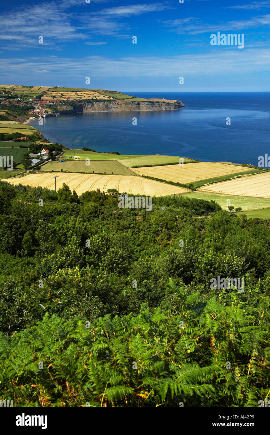 Robin Hoods Bay von Ravenscar North Yorkshire Coast Stockfoto