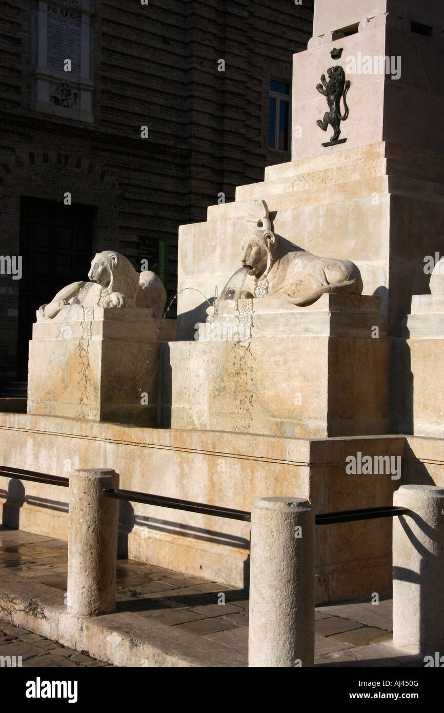 Geschnitzten steinernen Löwen-Brunnen, Piazza Frederico 11 in der mittelalterlichen Stadt Jesi, Le Marche Italien Stockfoto