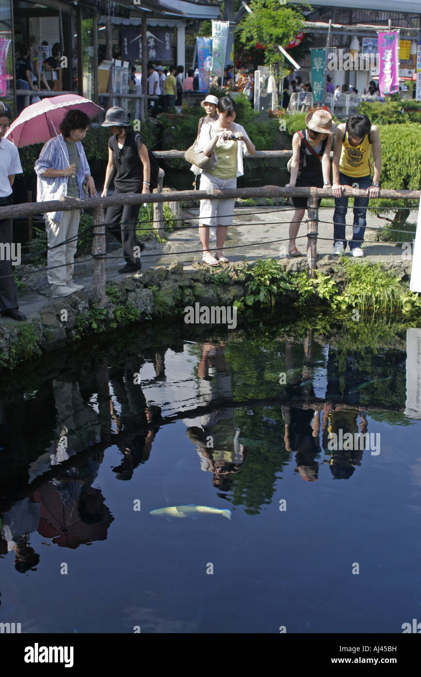 Touristen, die gerne auf Karpfen in einem Teich Karpfen Oshino Hakkai