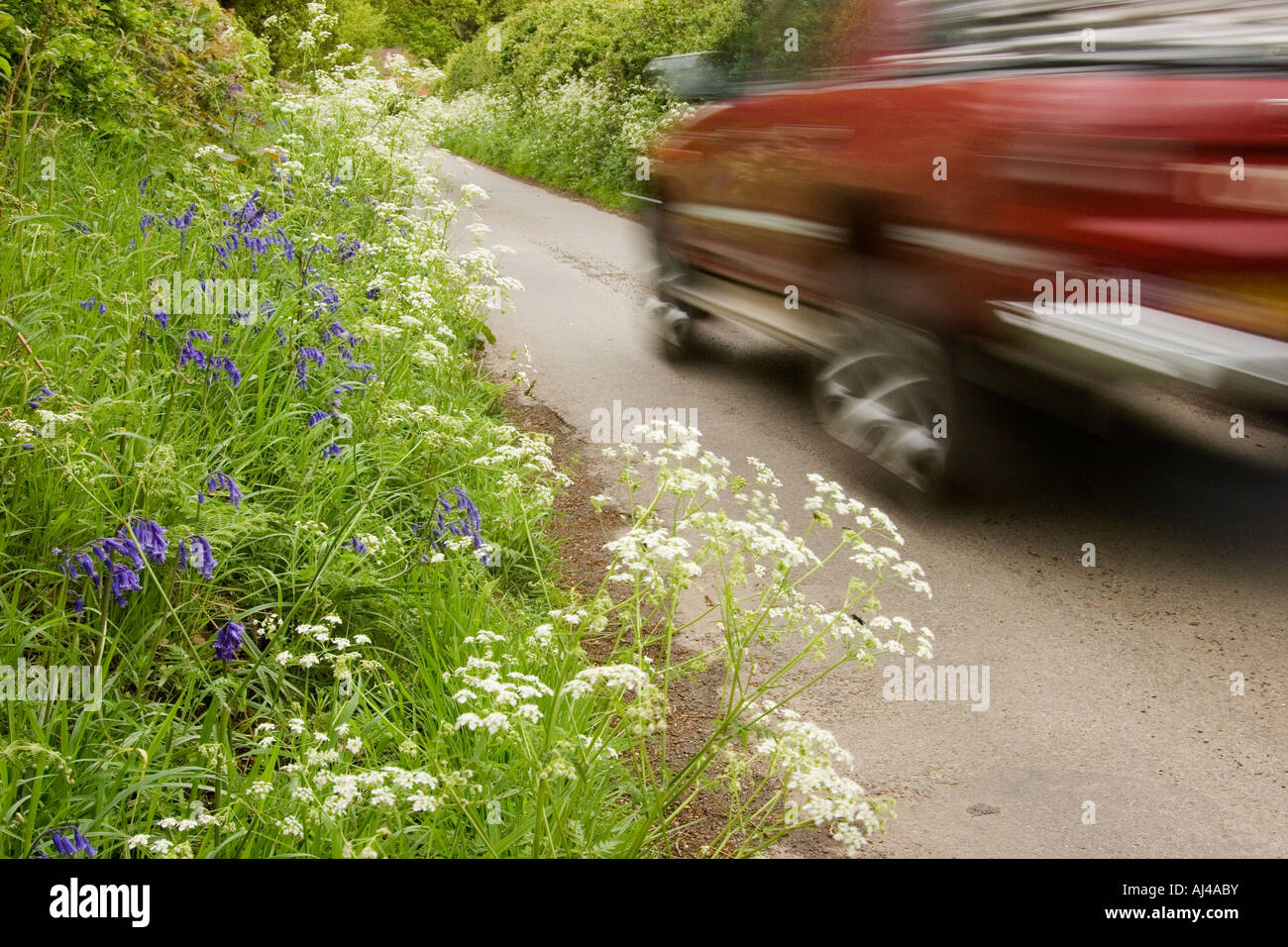 Mietwagen in Feldweg mit Wildblumen am Ufer, England UK Stockfoto