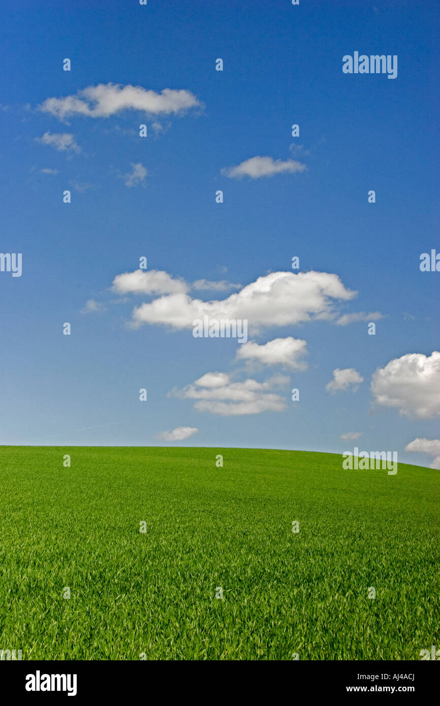 Sommerhimmel über grüne Wiese, England, UK Stockfoto