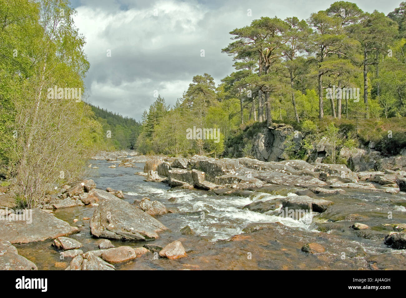 Fluss Affric und der Caledonian Wald, Glen Affric Strathglass, Scotland, UK Stockfoto