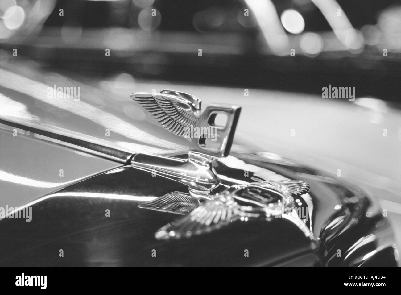 Glänzendes Chrom fliegen B Bentley Luxus Oldtimer Kühlerfigur Stockfoto