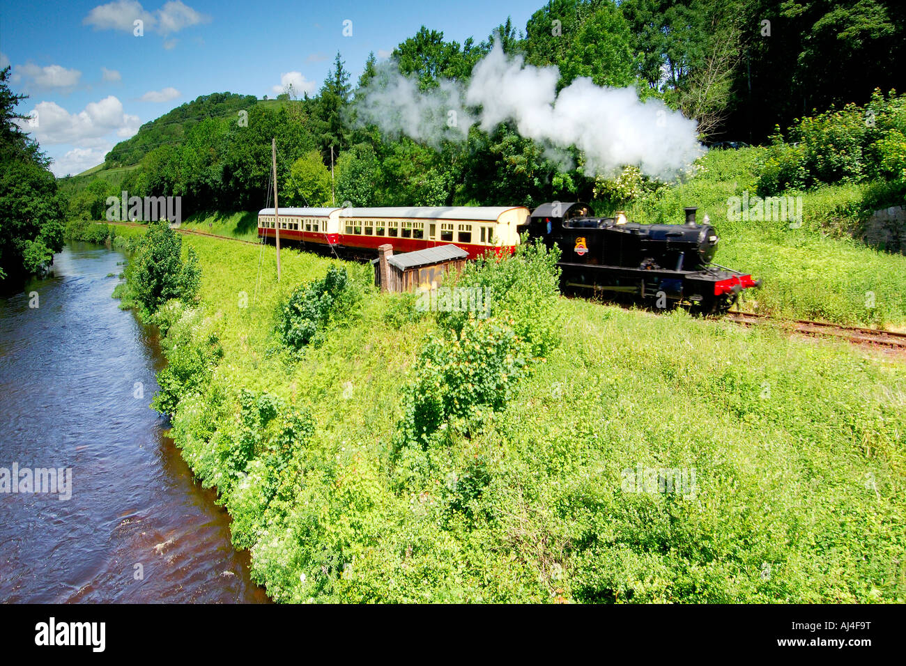 Dampfzüge auf der Strecke neben dem Fluss Dart zwischen Holne und Totnes auf der South Devon Railway mit klaren blauen Himmel Stockfoto