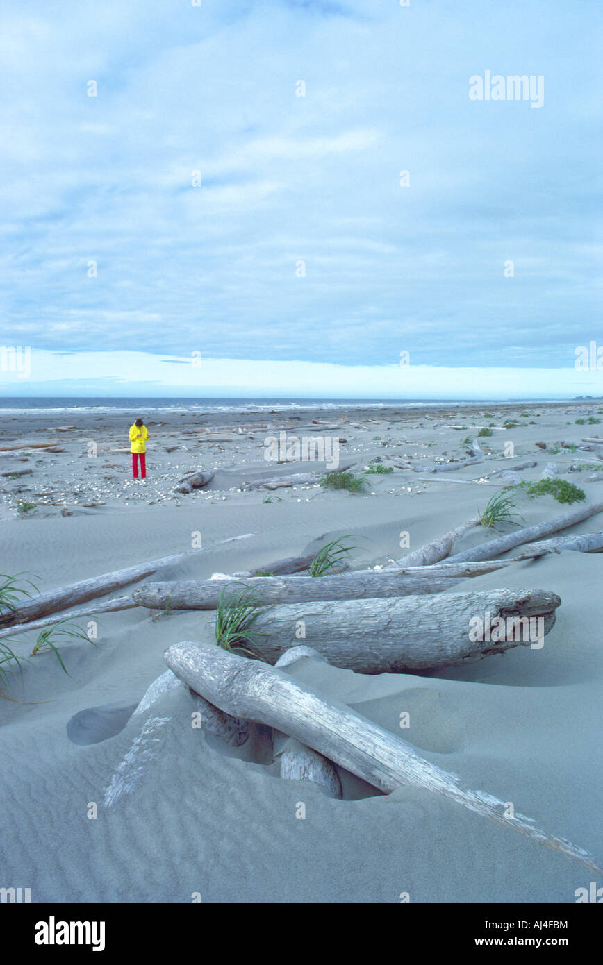 Graham Island, Naikoon Provincial Park, South Beach, Haida Gwaii (Queen Charlotte Islands) Northern BC, Britisch-Kolumbien, Kanada Stockfoto