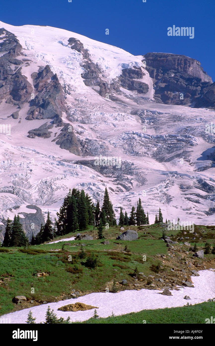 Mount Rainier und Nisqually Glacier in Mount Rainier Nationalpark im US-Bundesstaat Washington USA Stockfoto