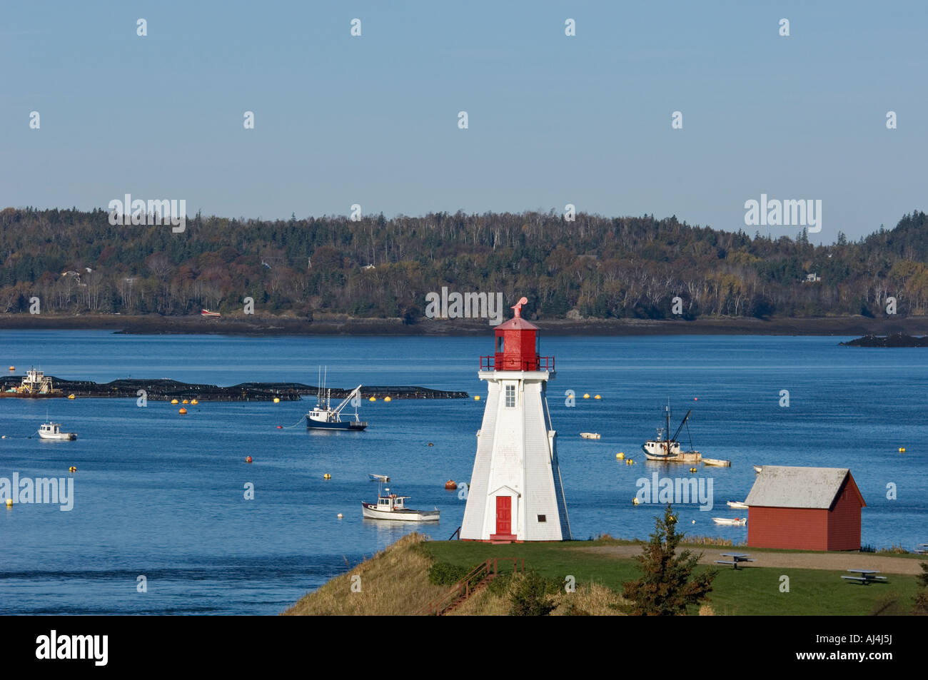 Blick auf Mulholland Point Lighthouse Passamaquoddy Bay und Maine Campobello Island New Brunswick, Kanada Stockfoto