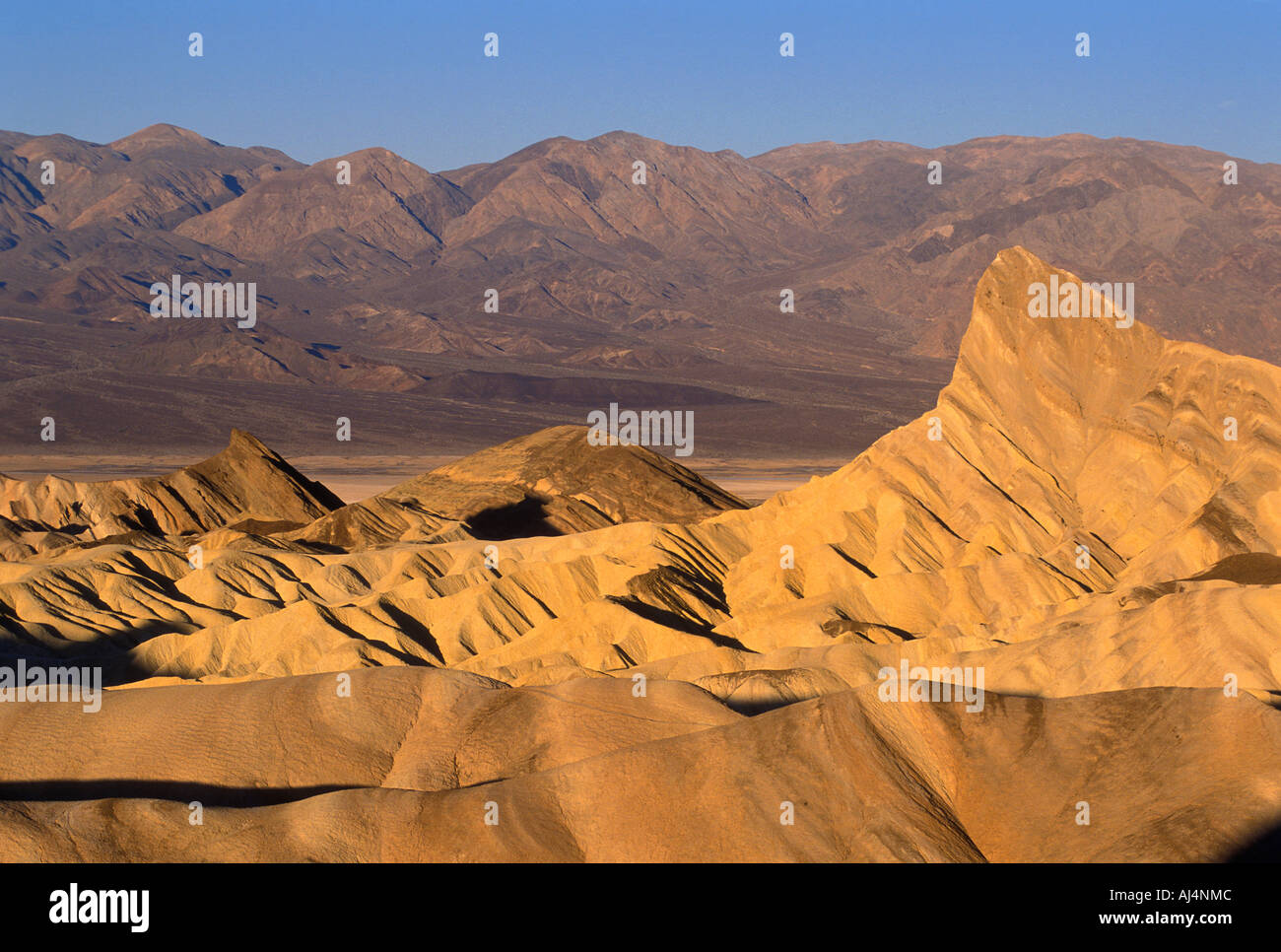 Zabriskie Point, Death Valley Nationalpark, Kalifornien USA. Stockfoto