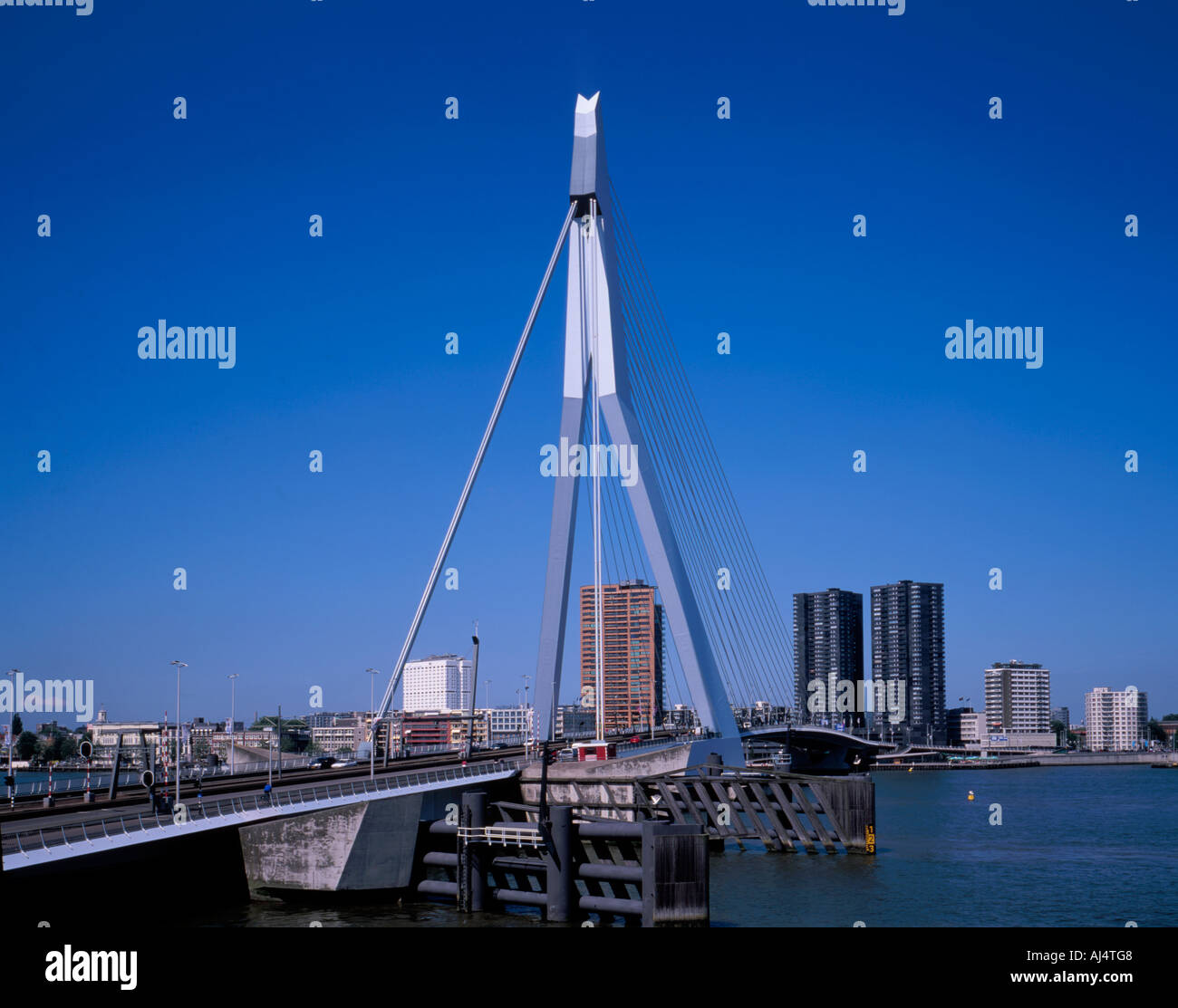 Erasmusbrücke Rotterdam Holland Stockfoto