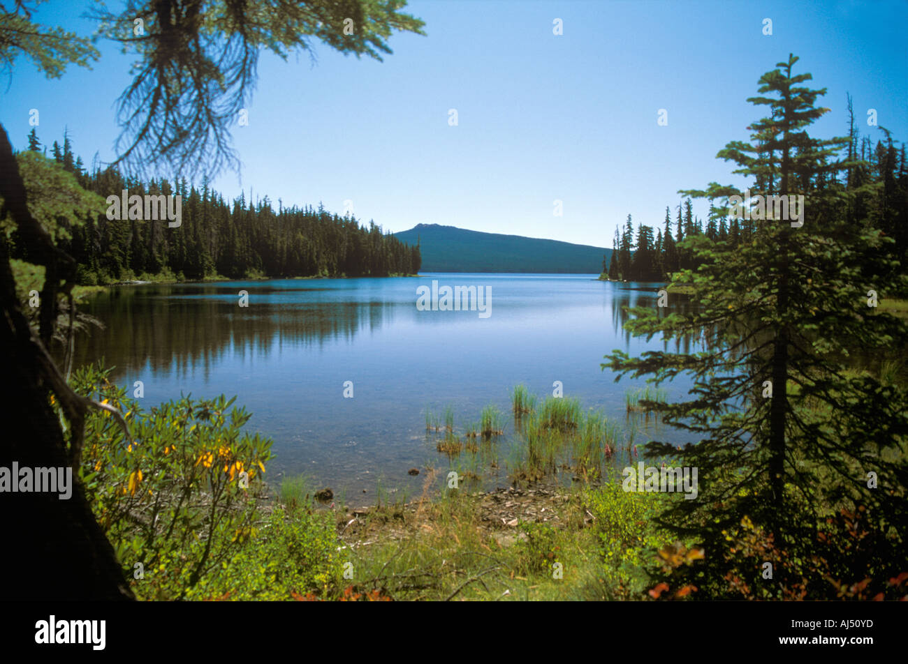 Waldo Lake in der Cascade Range of Oregon, Pazifischer Nordwesten, USA Stockfoto