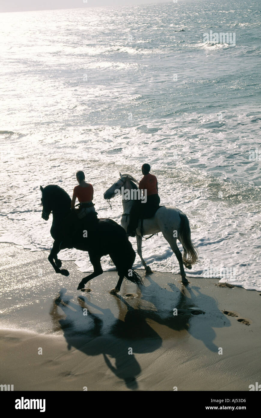 Reiten am Strand Spanien Urlaub Costa De La Luz am späten Abendsonne Tarifa silhouette Gegenlicht Contra-Jour Contra Luz Stockfoto