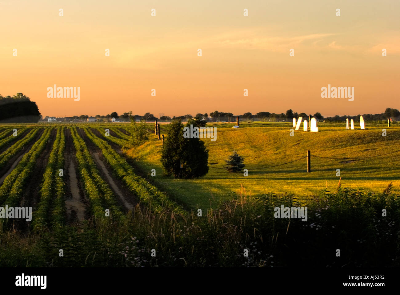 Ein Feld-Hof und Familienfriedhof in der Abenddämmerung Stockfoto